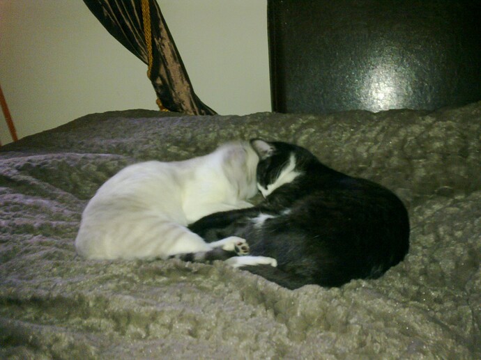 03022013459.jpg