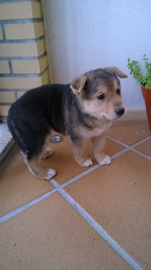 WP_20130926_001.jpg