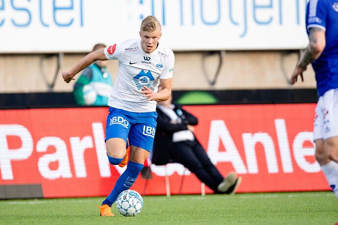 ERLING HÅLAND.jpg