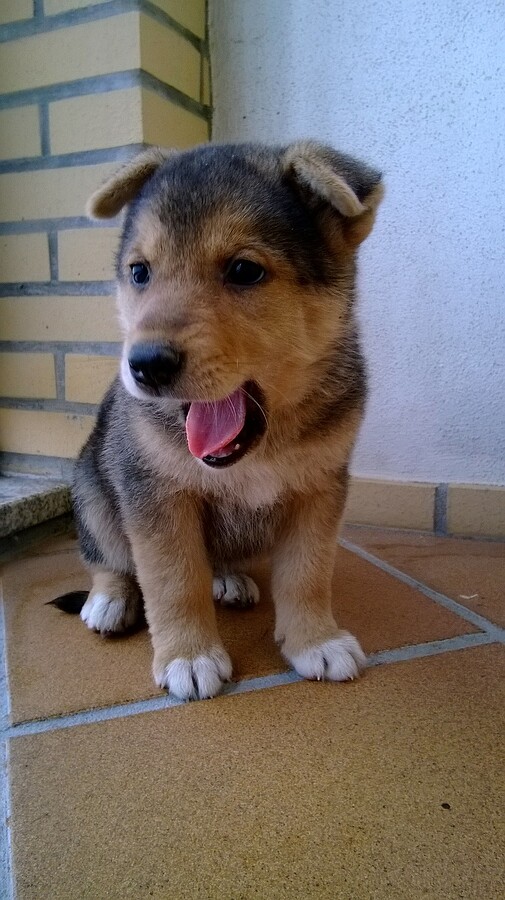 WP_20130926_006.jpg