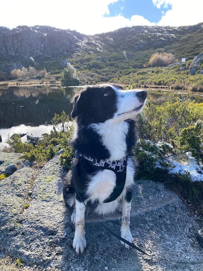 WhatsApp Image 2025-05-16 at 10.10.33