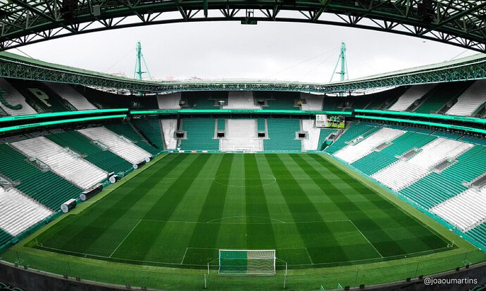 estadio verde e branco