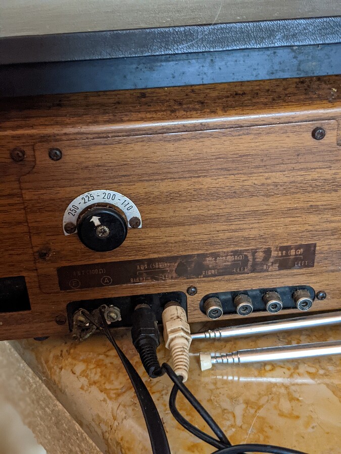 PXL_20210221_150530040.PORTRAIT