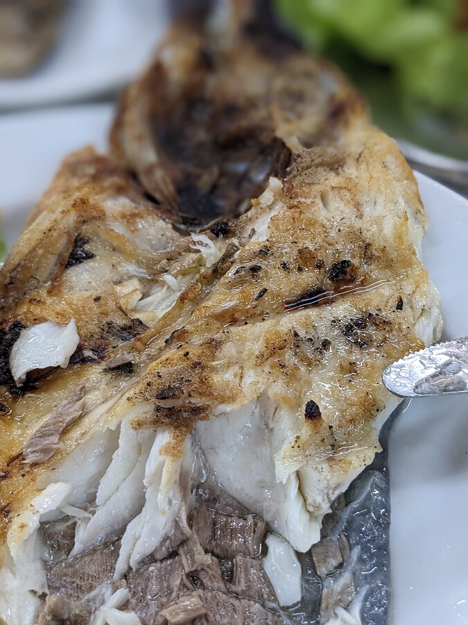 PXL_20240127_135107591.PORTRAIT