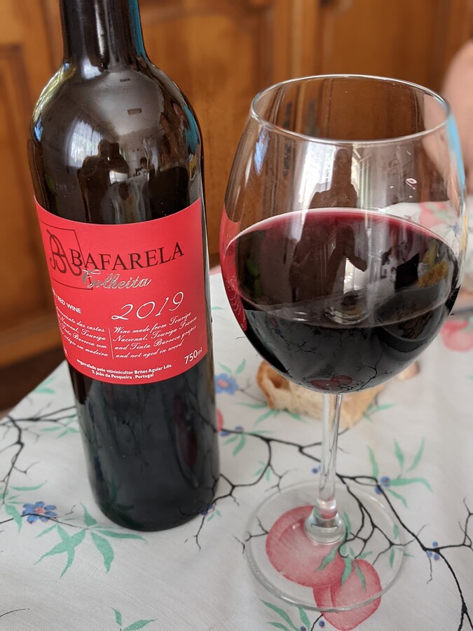 PXL_20210806_112115938.PORTRAIT