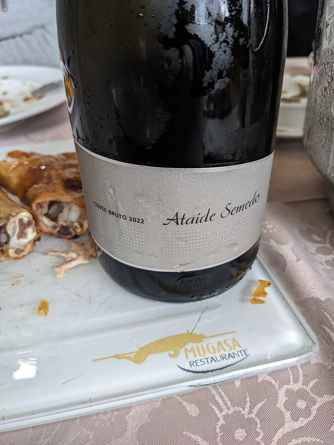 PXL_20240329_141131666.MP