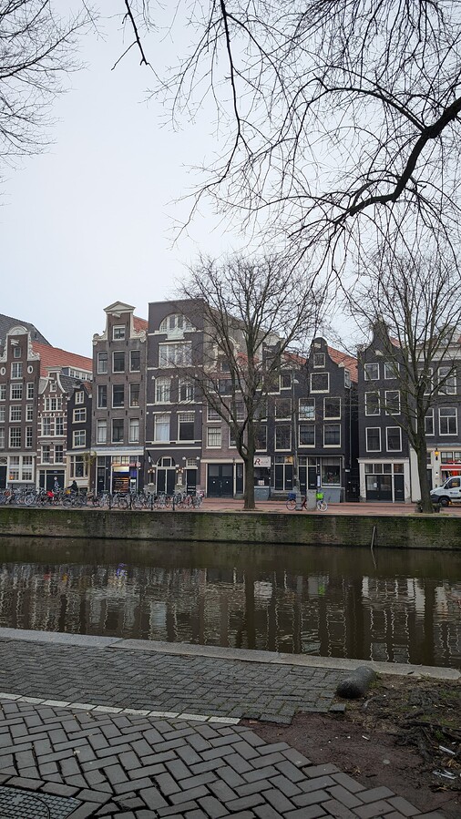 PXL_20241212_095621725