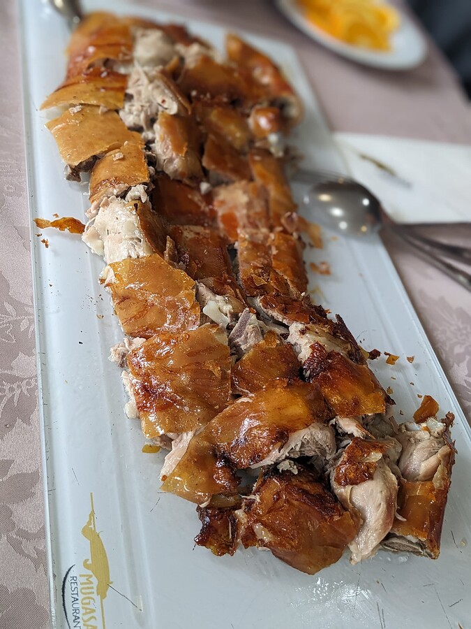 PXL_20240329_132543975.PORTRAIT