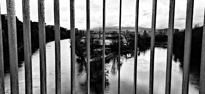 Picsart_24-03-24_12-36-42-850