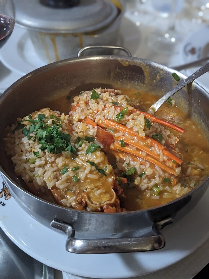 PXL_20240505_131745825.PORTRAIT