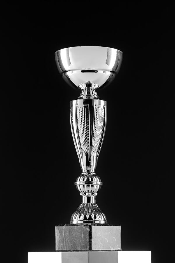 view-silver-cup-trophy