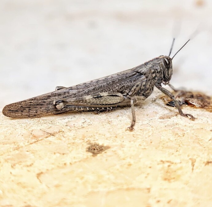 Screenshot_20211020-162040