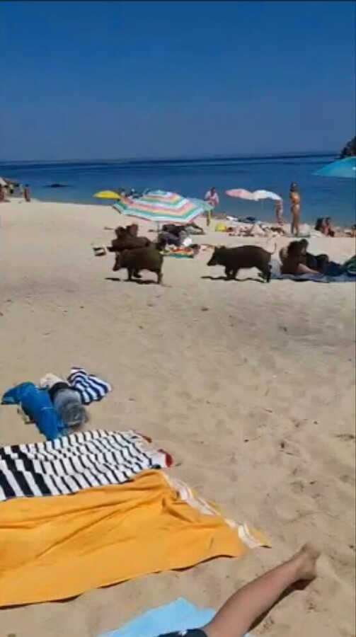 InCollage_20240725_233707316