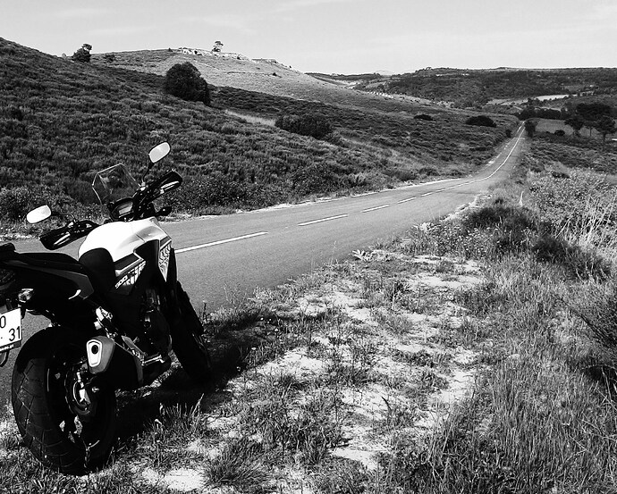 P_20170501_174201_1.jpg