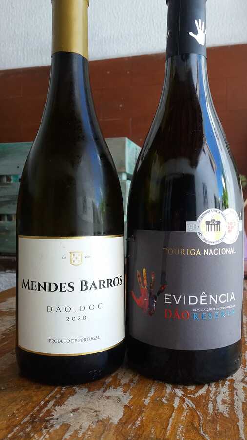 c4ae8e73-ed6b-4613-8377-c18e700e6bd2