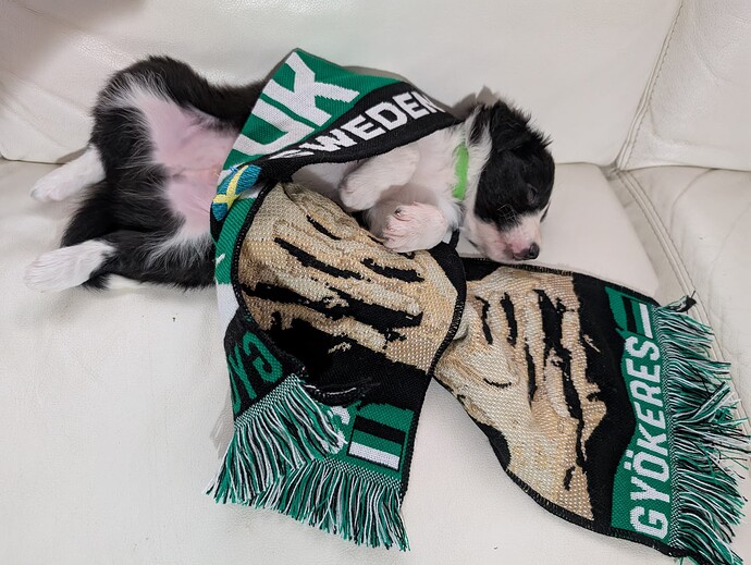 PXL_20250510_170201897