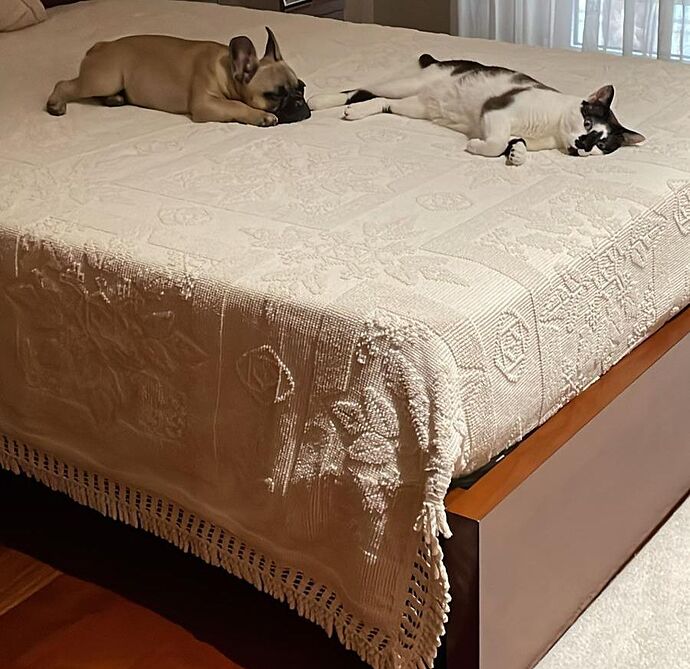 WhatsApp Image 2024-11-05 at 10.58.05 (1)