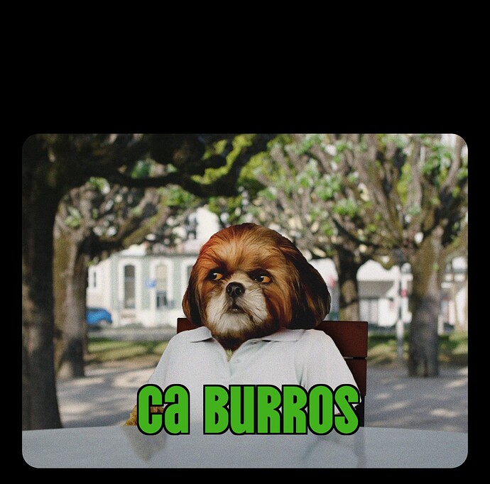 Ca burros