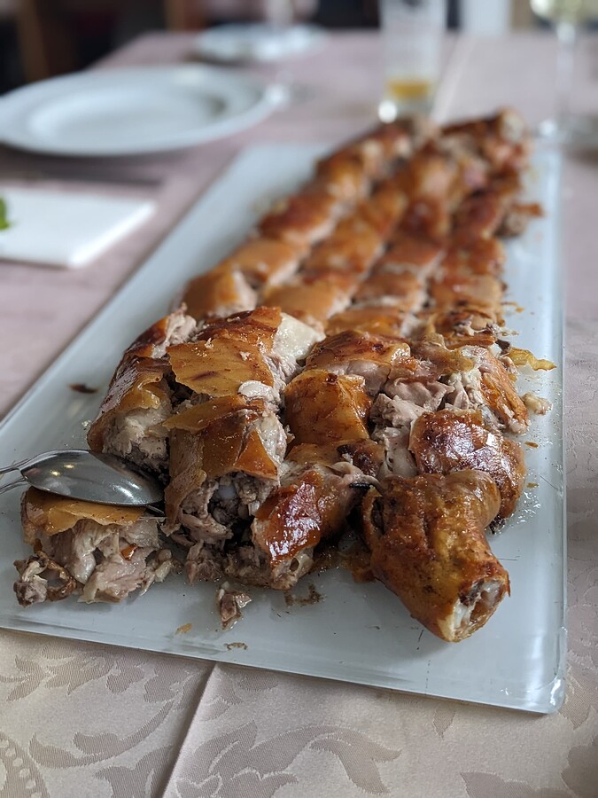 PXL_20240329_132539034.PORTRAIT