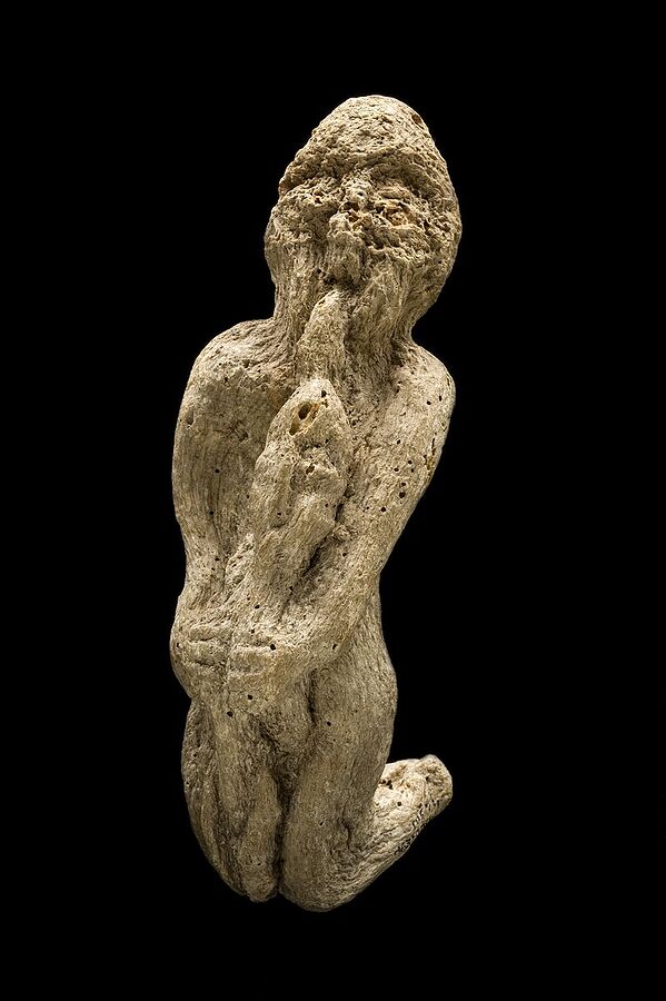 Mandrake_root,_England,_1501-1700_Wellcome_L0058458