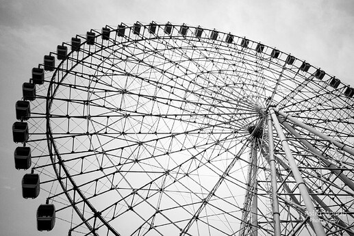 IMG_20240915_063031pbcm