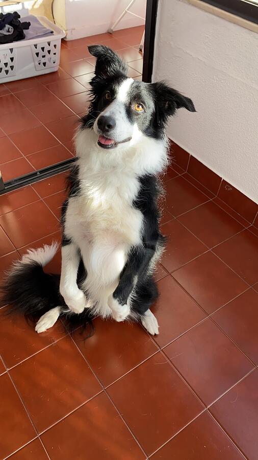 WhatsApp Image 2025-05-16 at 10.07.45