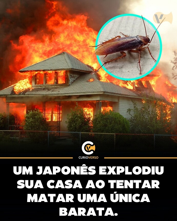 FB_IMG_1764108758250