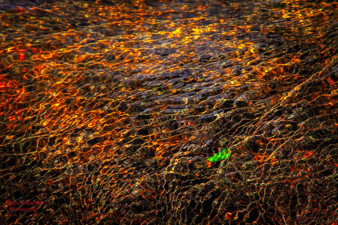 IMG_5216-2cmhdr(vivid)