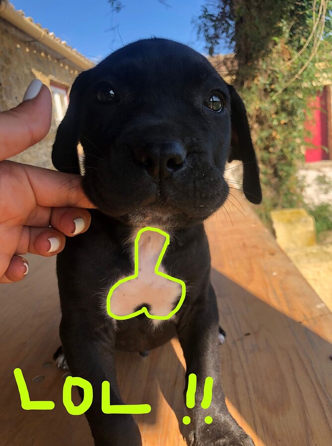 Imagem WhatsApp 2024-07-25 às 15.12.38_f5c70a83