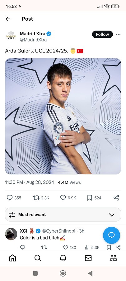 Screenshot_2024-08-30-16-53-55-819_com.android.chrome