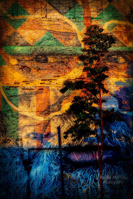 IMG_4072cmhdr(impressivedrama)_tn