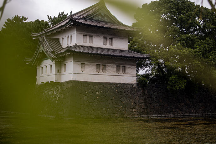 IMG_7518