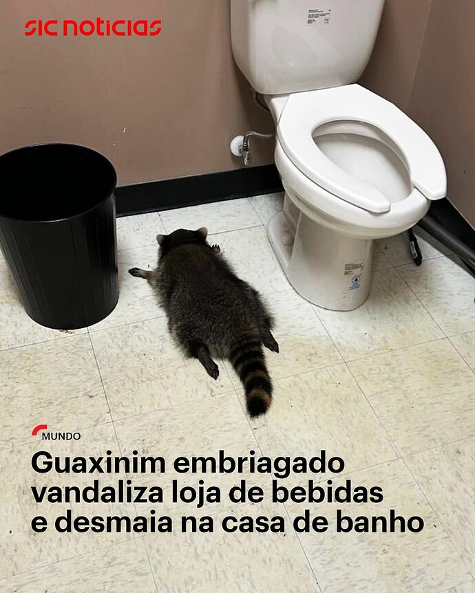 FB_IMG_1764853195789