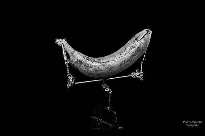 IMG_4634cmhdr(black&whitemoody)