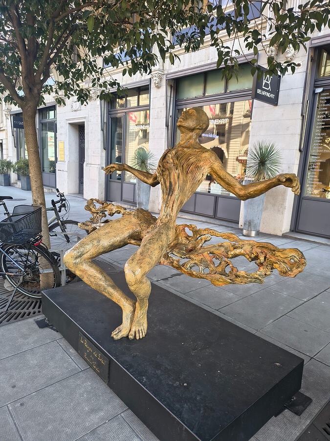 IMG_20260205_103945925_HDR