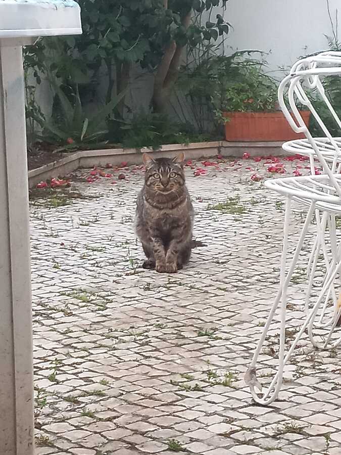 WhatsApp Image 2022-04-10 at 01.02.27