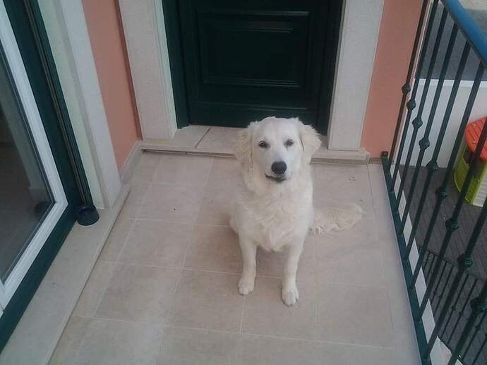 FB_IMG_1732276279383