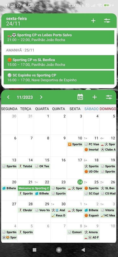 Screenshot_2023-11-24-11-26-23-466_ginlemon.flowerfree