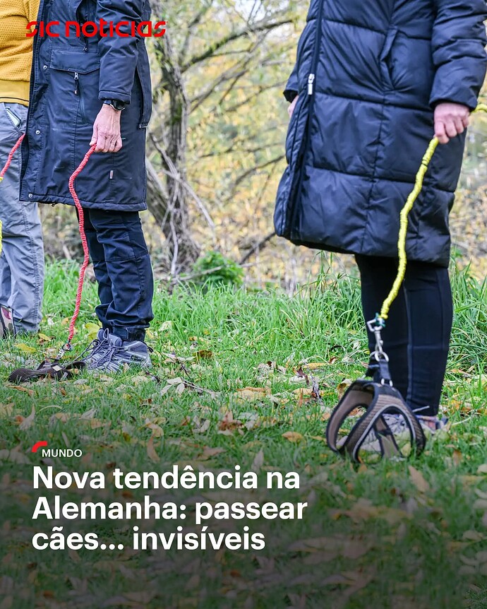 FB_IMG_1765052514717