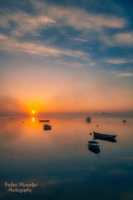 IMG_2344cmhdr(marinapiccola)