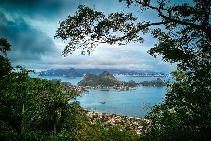 IMG_20260125_150638cmhdr(vivid)