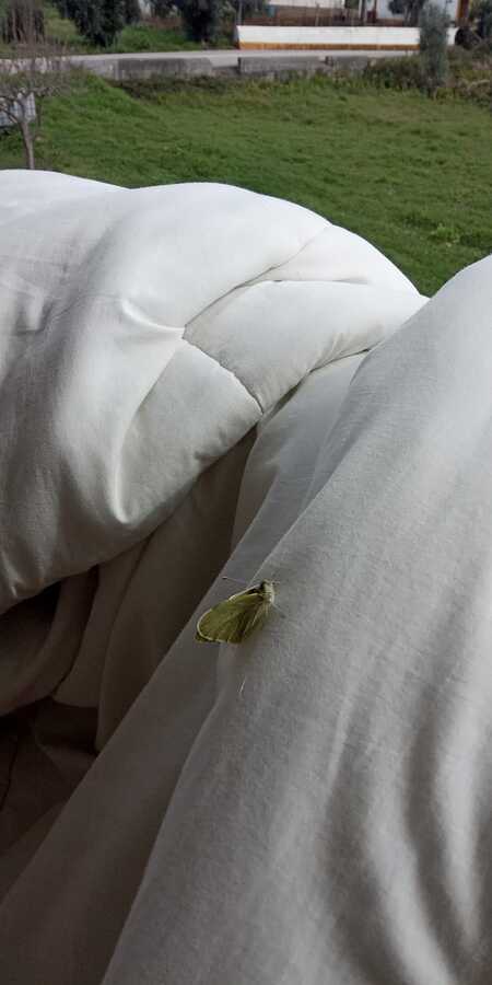 IMG-20230316-WA0004