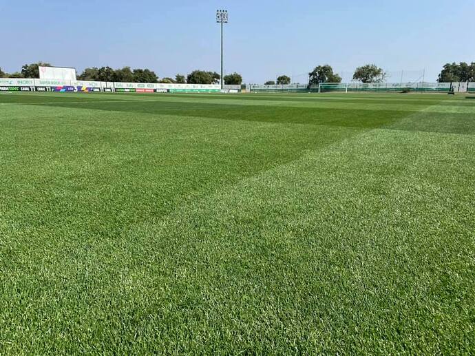 237206987_4755629351164528_2814356582467779033_n