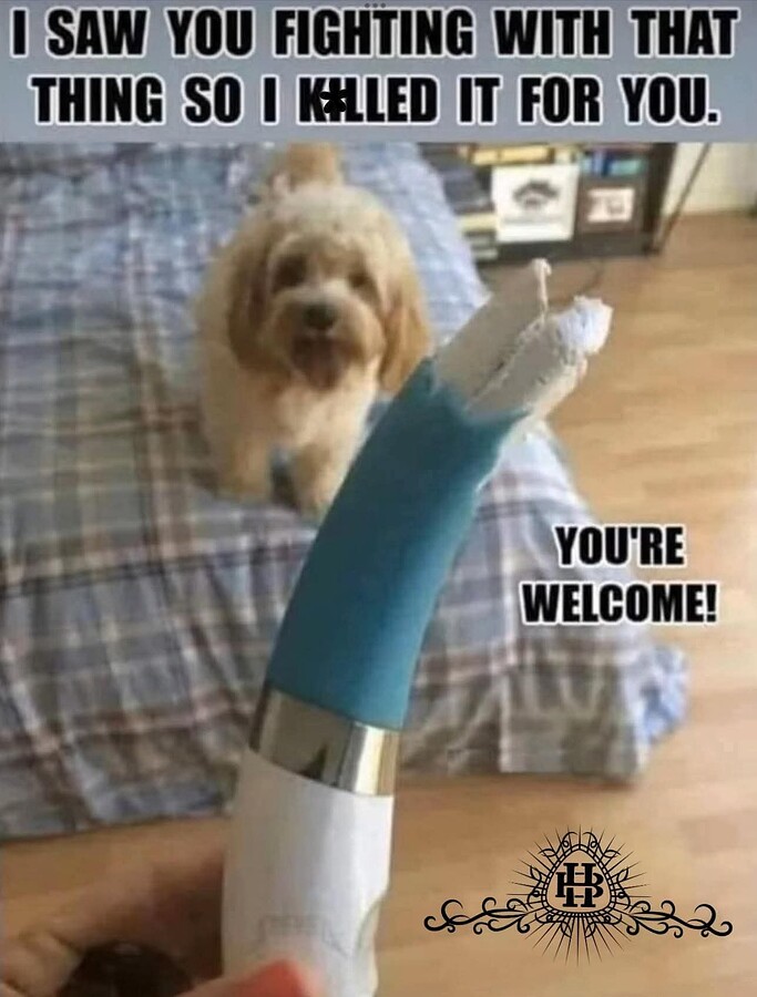 FB_IMG_1754858827207