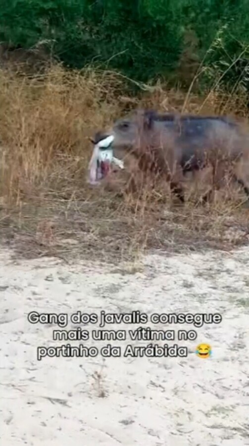 InCollage_20240725_233403687