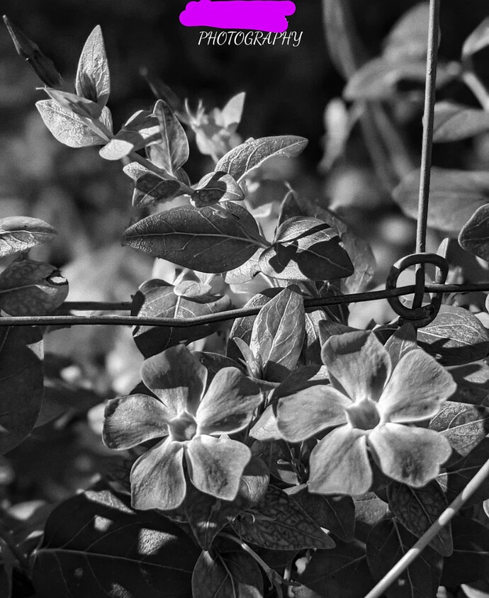 Screenshot_20211020-162121~2