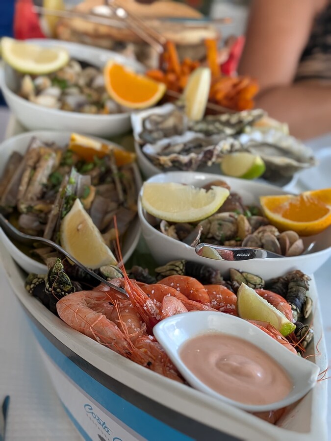 PXL_20250805_123821699.PORTRAIT