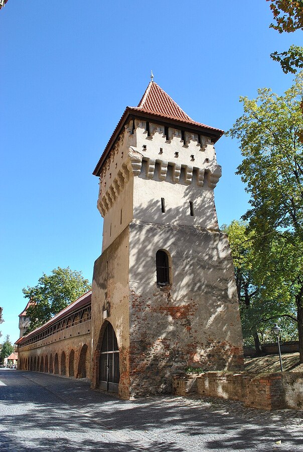 Sibiu_Turnul_Olarilor_(1)
