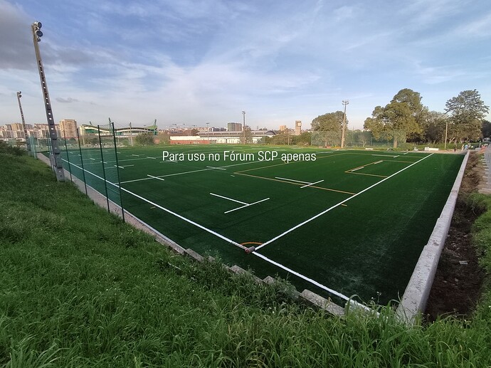 IMG_20240217_171520 (1)