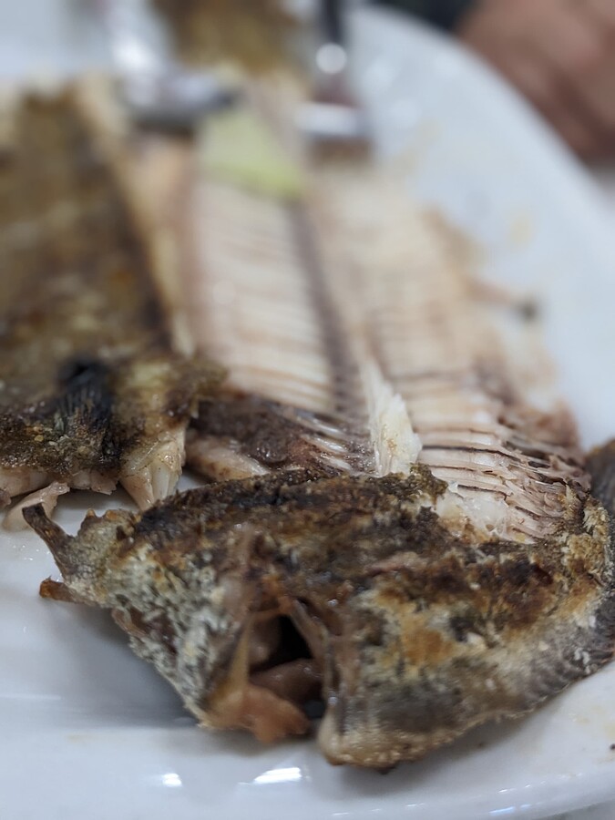 PXL_20240127_135116055.PORTRAIT